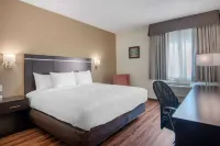 Econo Lodge Inn & Suites Hotels in Springfield