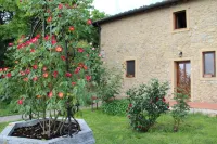 Agriturismo Il Castagnolino Hôtels à : Gambassi Terme