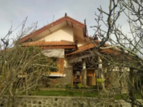 Shanty's House