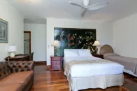 Daintree Manor B&B Hotels in Daintree