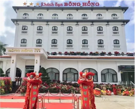 Bong Hong Hotel Отели в г. Tan Khanh Dong