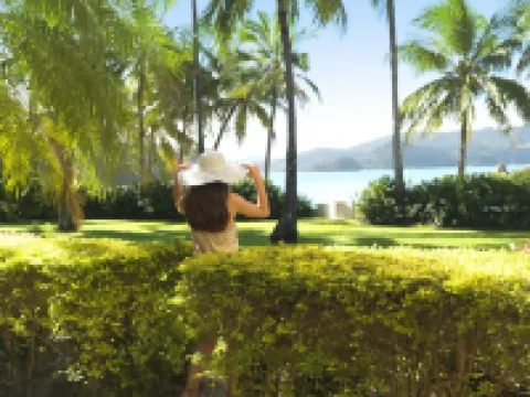 Beach Club Hotels in Hamilton Island