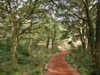 Jeju Bijasupgil15 Pension Hotels near غابات بيجاريم