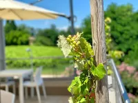 Relais le Betulle - parking