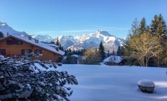 Aiguilles Dorées I/2