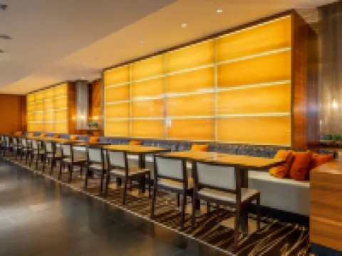 麗笙藍標伊麗莎白酒店 里加酒店