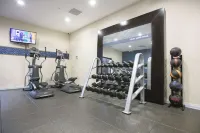 Hampton Inn Toledo/Oregon - Gym