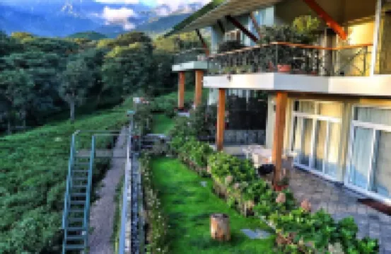 Lamrin Norwood Green Palampur, Himachal Pradesh