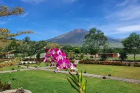 Nusantara Hotel & Restaurant, Sembalun Hotel dekat Air Terjun Sendang Gile