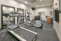 Holiday Inn Express & Suites NORTH DALLAS AT PRESTON by IHG - Gym