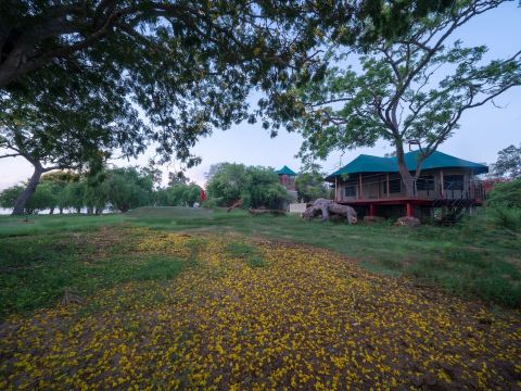 Flameback Eco Lodge