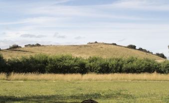 a grassy field with a fire pit surrounded by wooden logs and a bench in the middle at Niddo Suesca