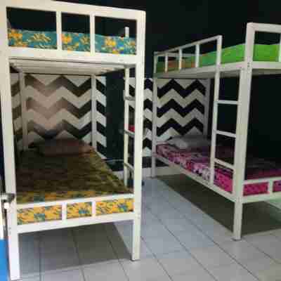 44背包客青年旅館 Rooms