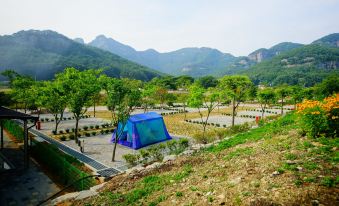 Buan Naesosa Camping Pension