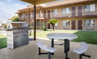 Super 8 by Wyndham Lindsay Olive Tree