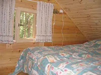Pikkutupa