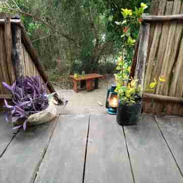 Mida Creek Eco Camp - Cottage House Hotel Exterior