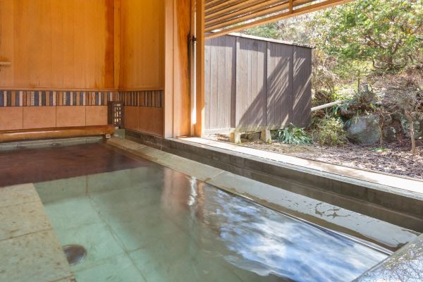 Ikaho Onsen Yofu Ryokan Binon(伊香保温泉 松本楼 洋風旅館ぴのん)_4
