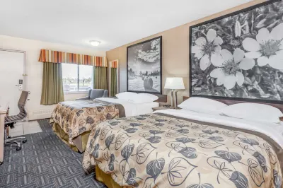 Super 8 by Wyndham Stettler Hôtels à : Stettler