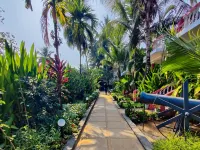 Vintage Beach Resort - Wifi