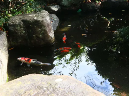 Nakamura Ryokan Отели рядом со станцией JR Enzan station