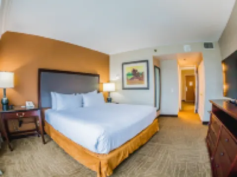 Embassy Suites by Hilton Lexington Green Hotels in Lexington