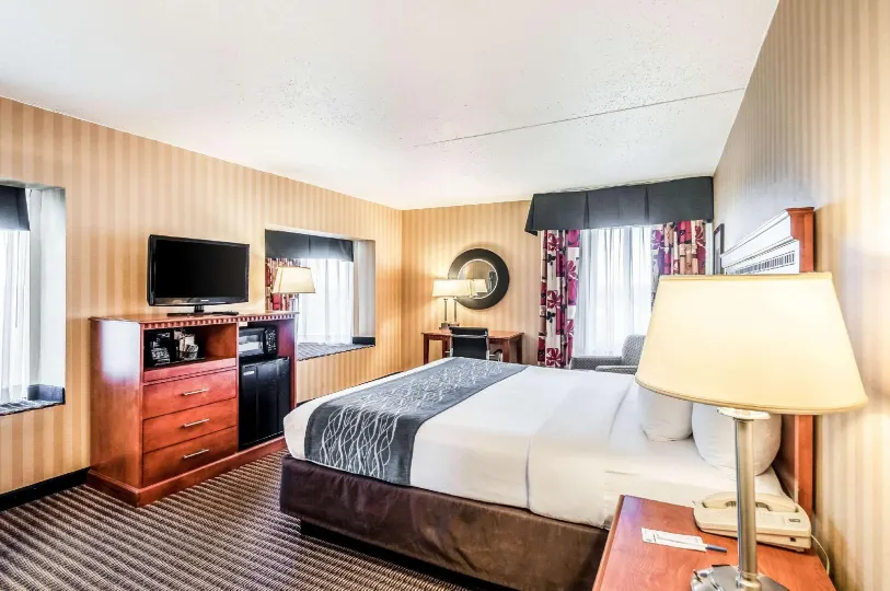 Comfort Inn & Suites Alexandria West