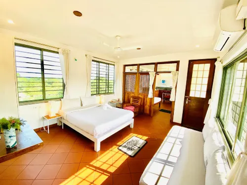 The Canopy Guest House - Guest houses