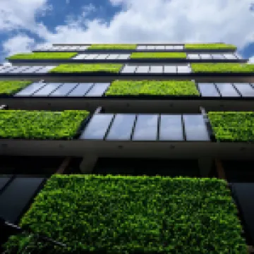 坎波斯艾裏西歐司套房酒店 酒店