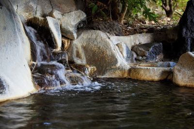 ホテル周辺 阿蘇の司ビラパークホテル & スパリゾートの写真