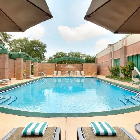Embassy Suites by Hilton Tampa USF Near Busch Gardens
