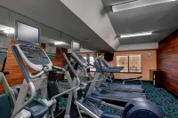 Fairfield Inn & Suites Fort Worth I-30 West Near Nas JRB - Gym