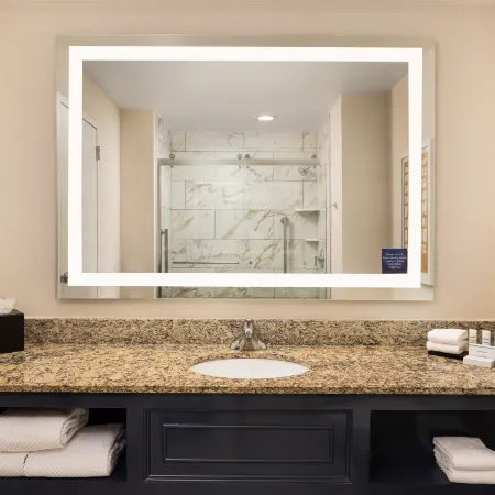 Embassy Suites by Hilton Atlanta Buckhead
