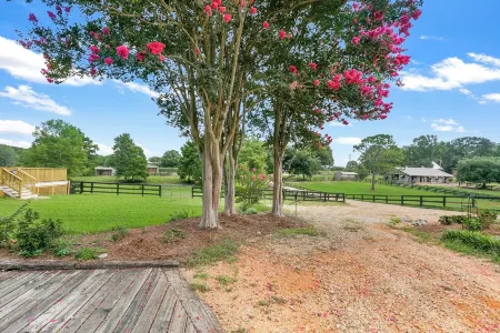 Charming 2-bedroom cottage in lovely Folsom with WiFi, AC and gorgeous views