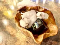 Artsy pet-friendly queen room/historic railroad inn فنادق في Cowan