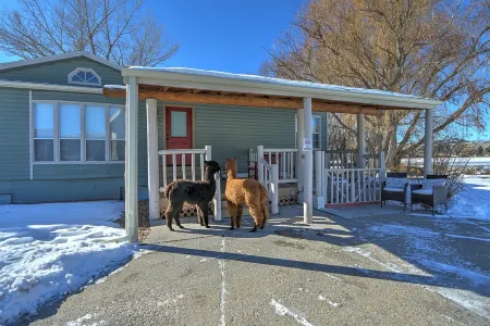 Alpaca My Bags & Alpaca Experience! Отели рядом с Rifle