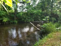 Family Friendly on the Crystal River