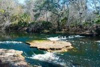 #1 rental in Steinhatchee, affordable, convenient, comforts of home.