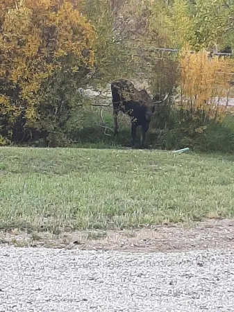 Polaris Paradise Maverick, Entire townhouse in scenic Polaris, MT