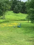 CREEKSIDE RETREAT 5 miles from Cooperstown, NY.