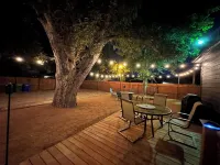 The Mustard Seed Cottage-Charming 3-BR Craftsman conveniently located downtown!