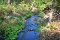 Modern A-Frame next to a creek, minutes to Bass Lake and close to Yosemite