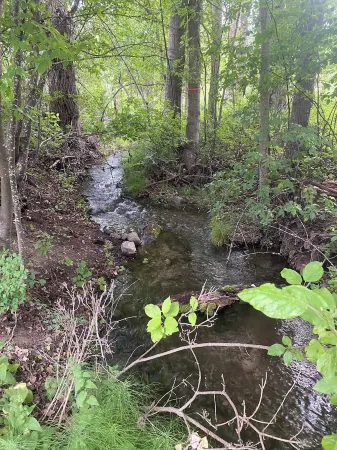Cozy Cabin with a CreekDue to Water Disputes, the Creek is Not Flowing Yet