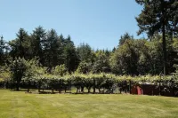 Fully Fenced 3 Acre Home, 7 Minutes from Ilani Casino!