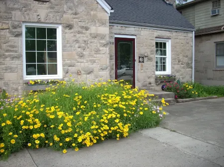 Ron & Orline's Home, park at the door & use our EV 50 amp charger
