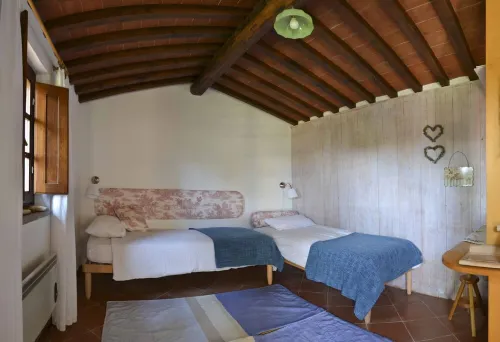 Happy holidays in Chianti, among olives and vineyards, From Florence