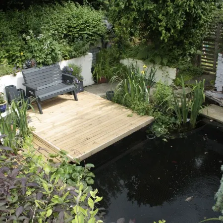 Cottage with Beautiful Views - Dog Friendly (Cosy and Tranquil)