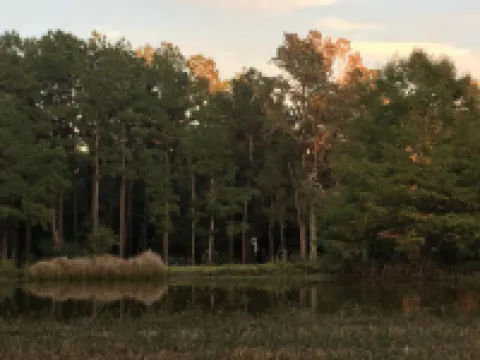 Cozy Cabin by the Pond