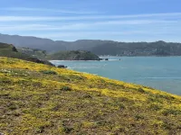 A Victorian Garden Retreat near beach, trails, SF, Silicon Valley- ldry +prkg