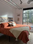 Cozy, Eclectic 1 BR Condo w/Rooftop Hot Tubs, Dog Friendly!